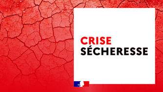 Logo crise